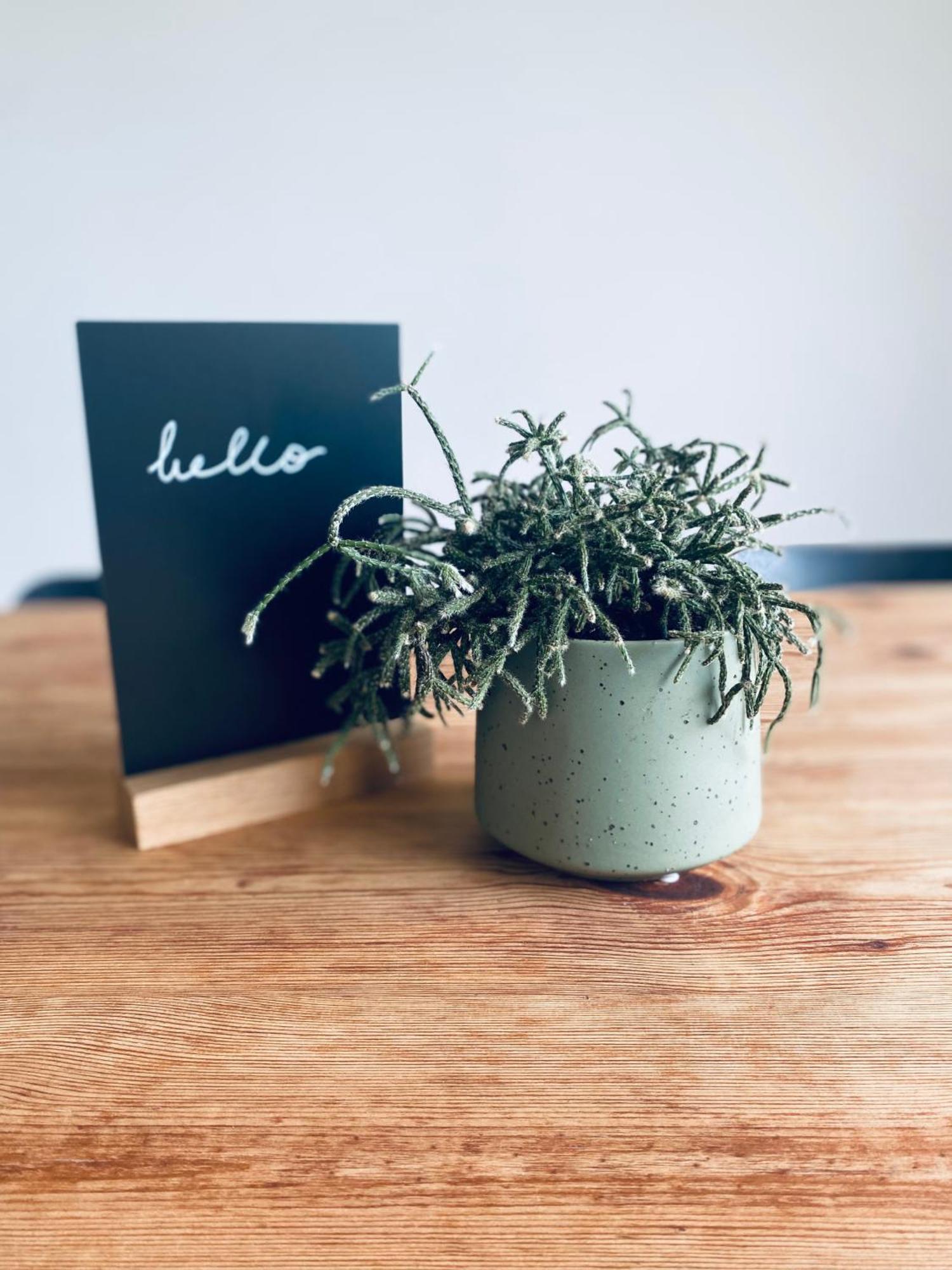 Lay-Zeit Apartment Kottenheim Ngoại thất bức ảnh